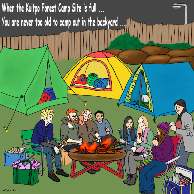 Backyard camp