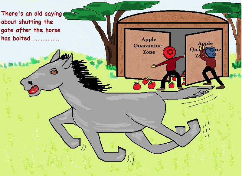 Horses and apples