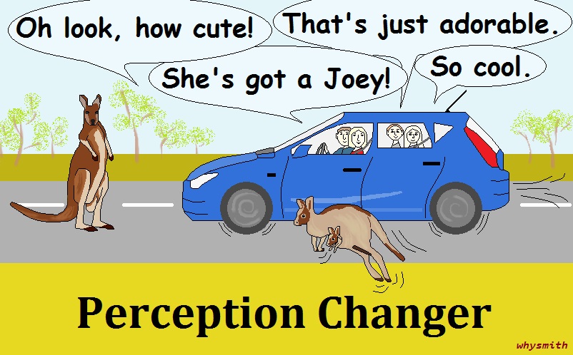 Perception