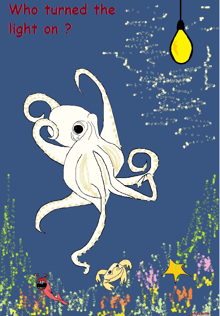 The white octopus