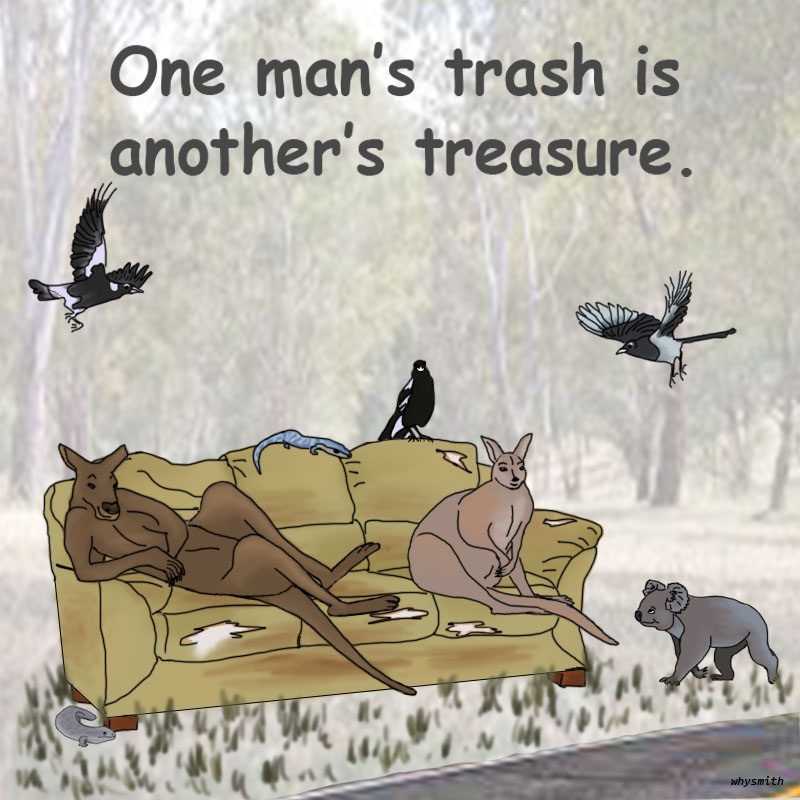 Trash and Treasure